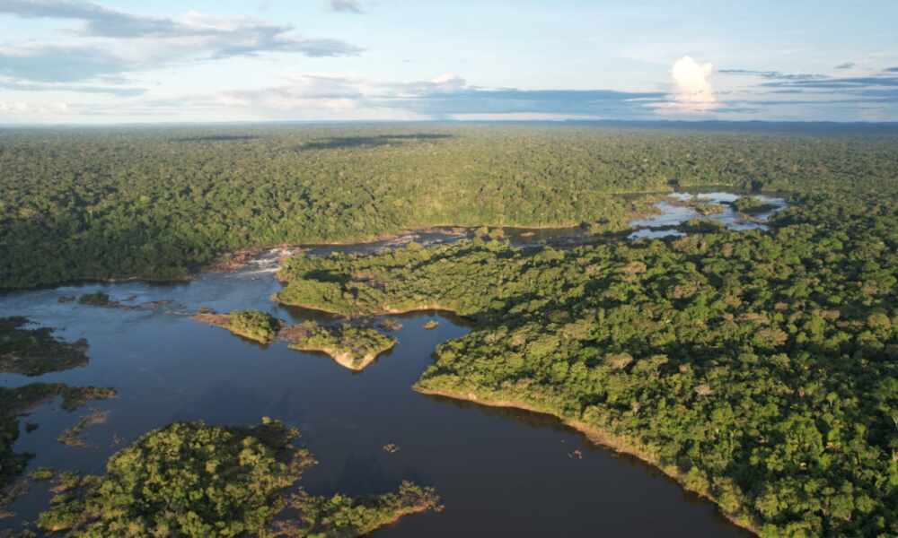 Prestação de Serviço de Conservação Ambiental no Brasil